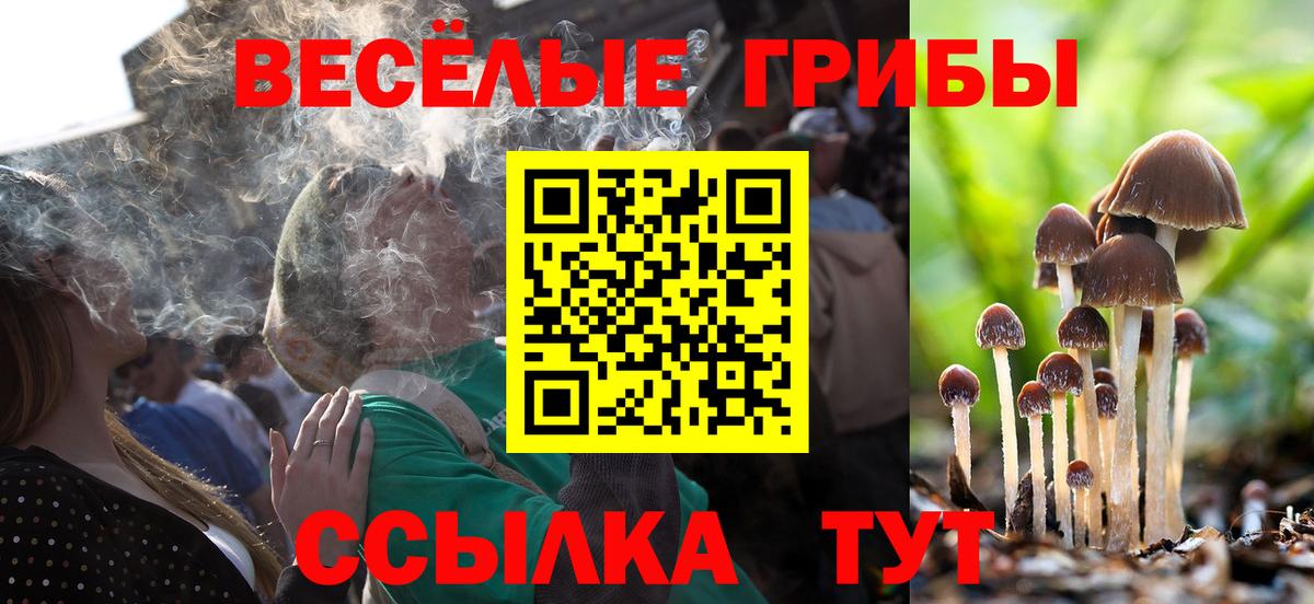 Псилоцибиновые грибы ЛСД Печора