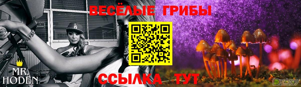 Псилоцибиновые грибы GOLDEN TEACHER  Вход с VPN  Печора 